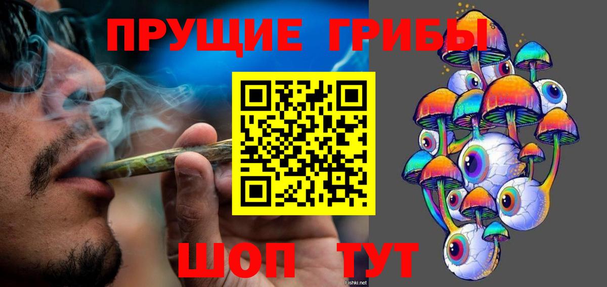 Благовещенск  Псилоцибиновые грибы мицелий  Вход с VPN  Галлюциногенные грибы Cubensis 